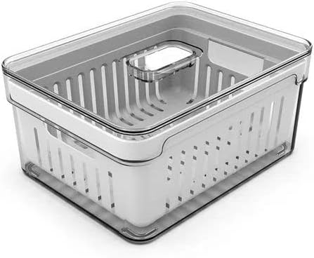 OU OF450NT Organizador de Geladeira com Escorredor Interno, 2,2 L – Caixa Plástica para Legumes, Saladas